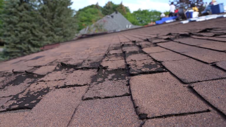 Roof Insulation in Mount Vernon, OH